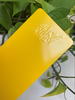 Revestimentos eletrostáticos do pó do pulverizador da mobília interna customizável da cor de Ral da superfície lisa de alto brilho