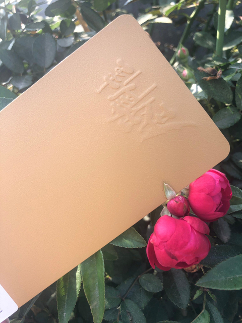 Ral 7035 cinza excelente resistência às intempéries brilho/acabamento de textura pós de tinta de poliéster