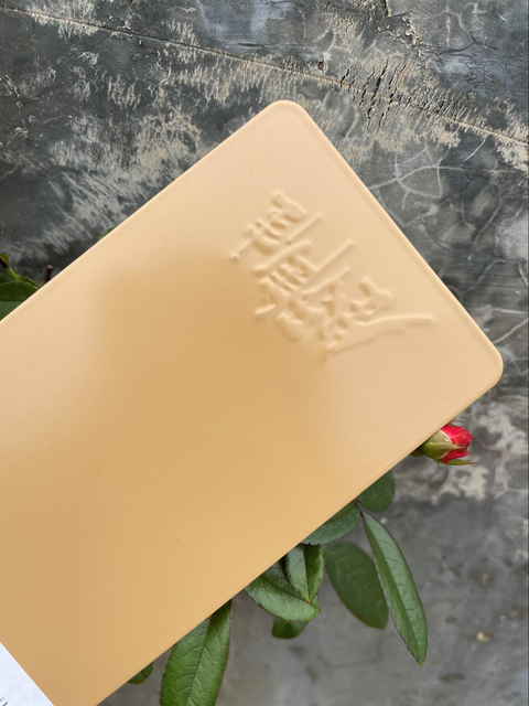 Nova linha de revestimento em pó de material de poliéster desenvolvida planta de pintura por spray para ambientes internos e externos